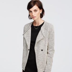 NWOT Ann Taylor textured moto jacket